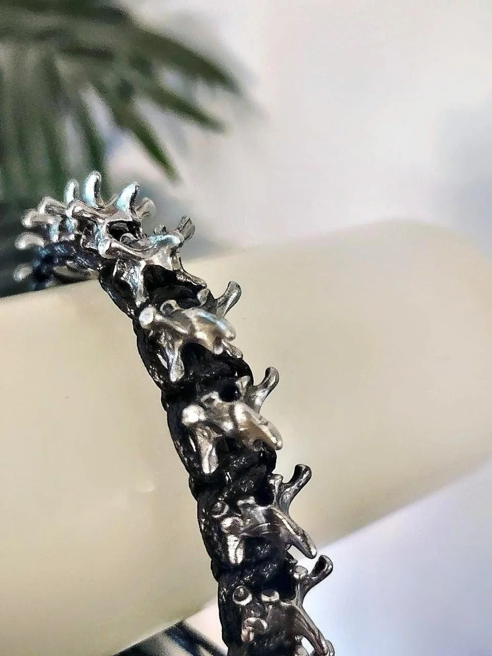 Spinal Column/Vertebrae Brace